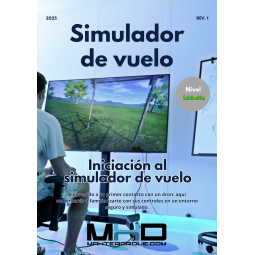 Iniciación al simulador de vuelo